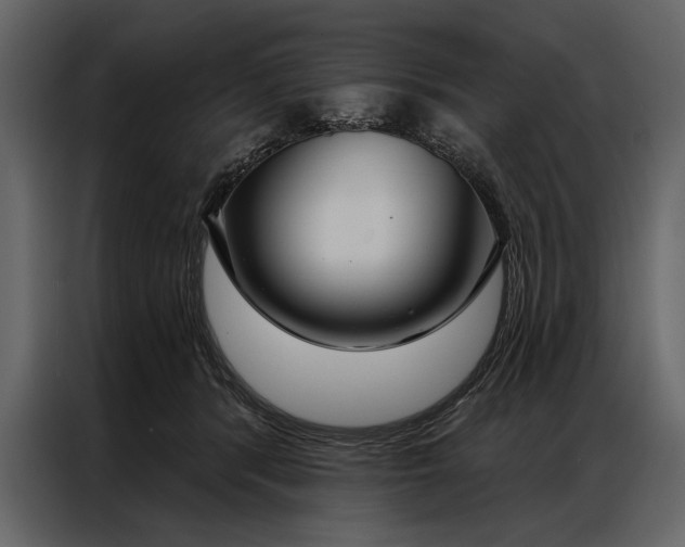 X0000087000416200705071510