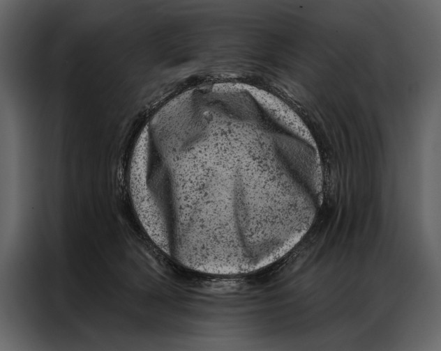 X0000087000418200705071510