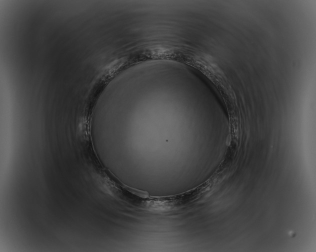 X0000087000419200705071510