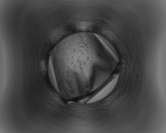 X0000087000420200705071510