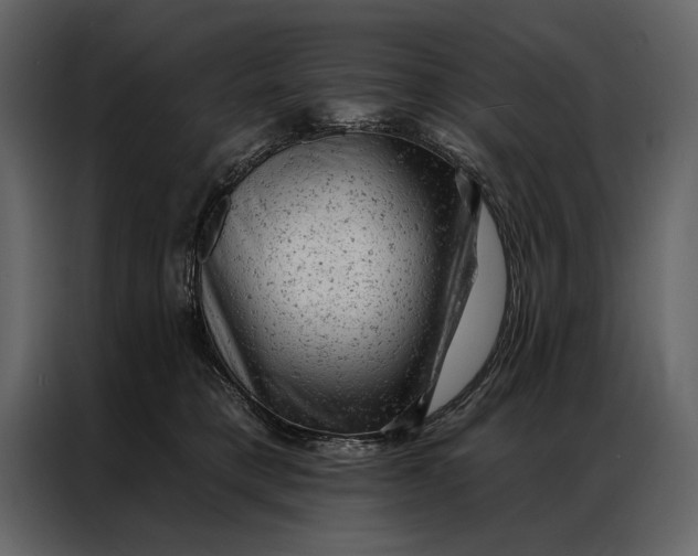 X0000087000421200705071510