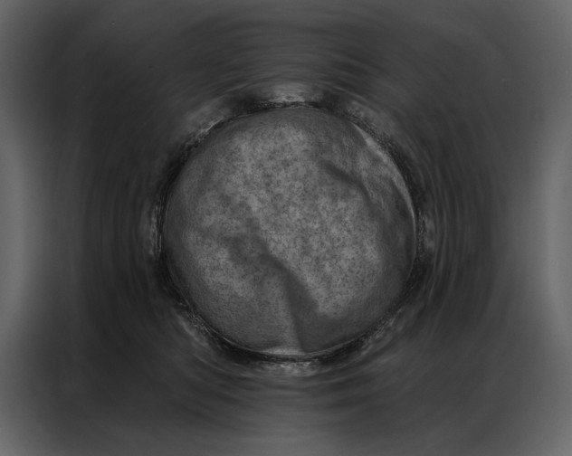 X0000087000422200705071510