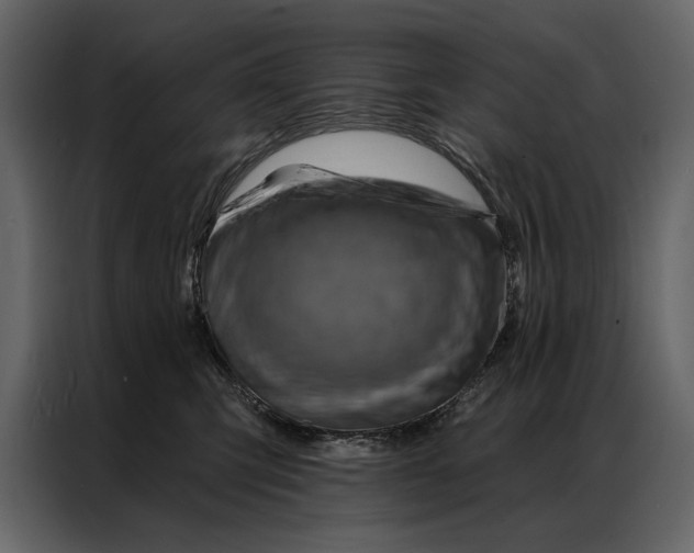 X0000087000423200705071510