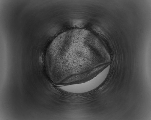 X0000087000424200705071510