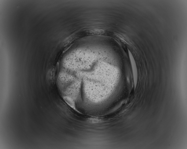 X0000087000425200705071510