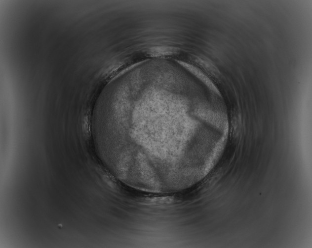 X0000087000426200705071510