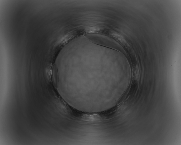 X0000087000427200705071510