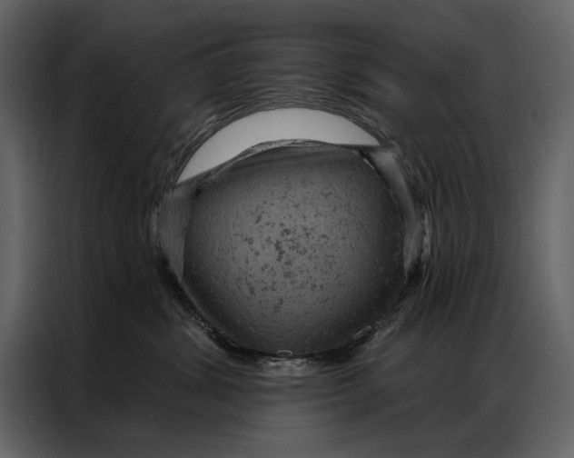 X0000087000428200705071510