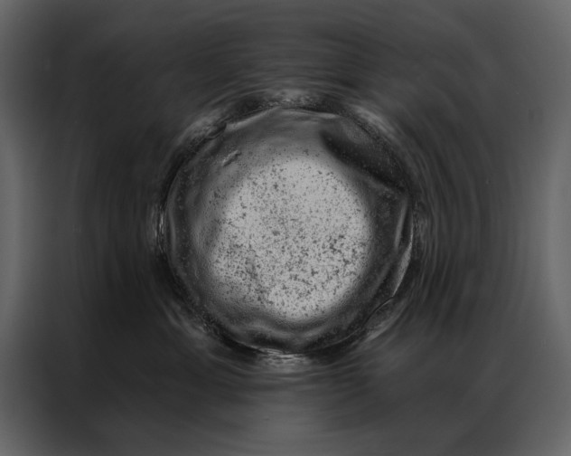 X0000087000429200705071510