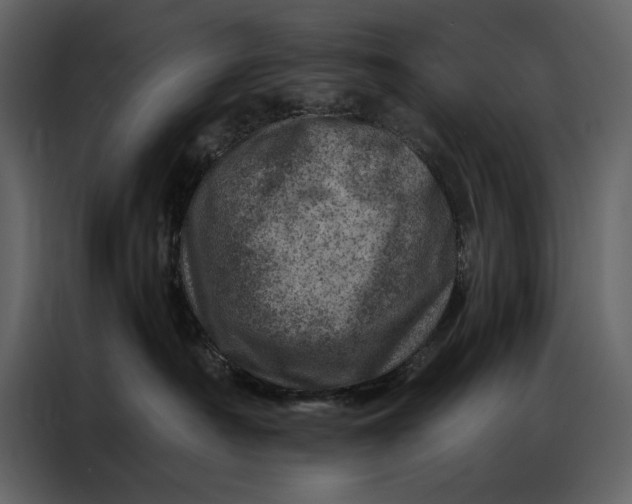 X0000087000430200705071510