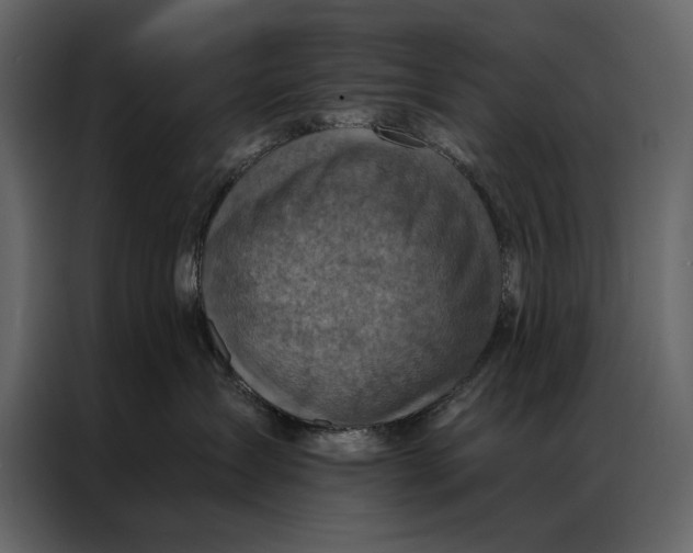 X0000087000431200705071510