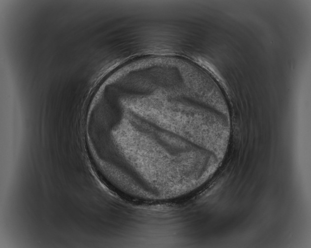 X0000087000433200705071509