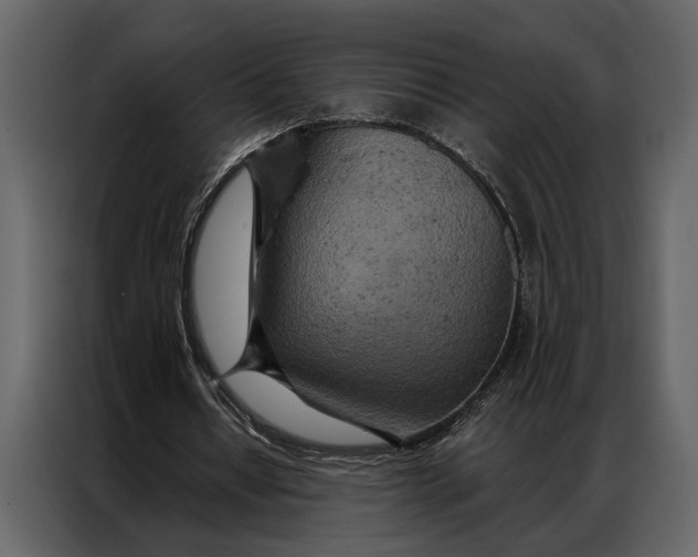 X0000087000434200705071509