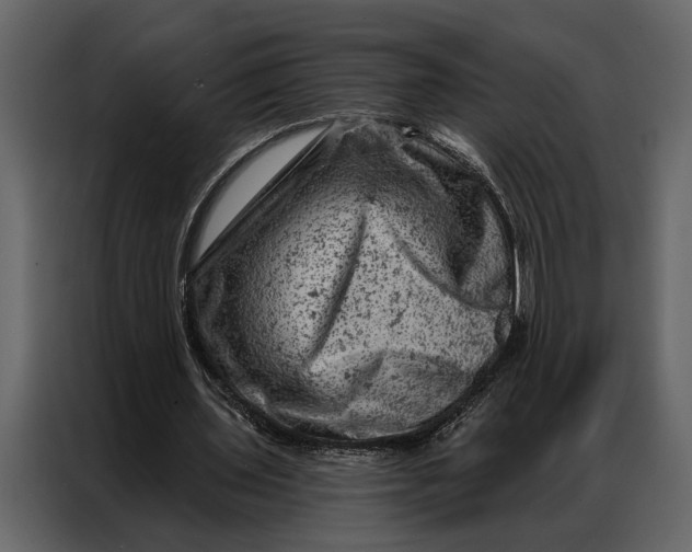 X0000087000435200705071509