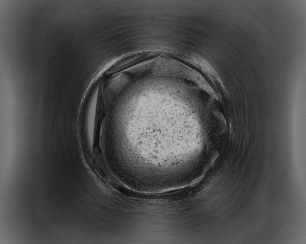 X0000087000436200705071509