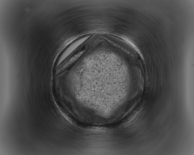 X0000087000437200705071509