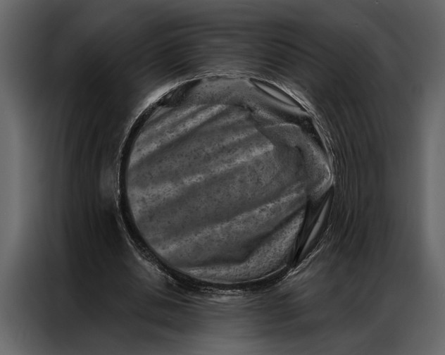 X0000087000438200705071509