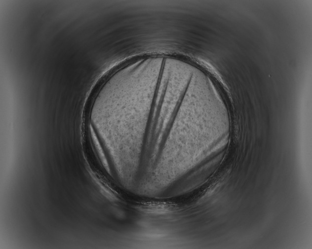 X0000087000439200705071509