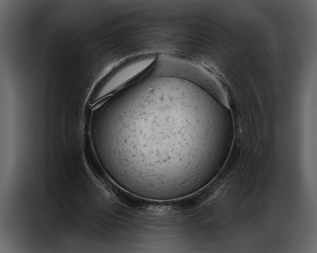 X0000087000440200705071509