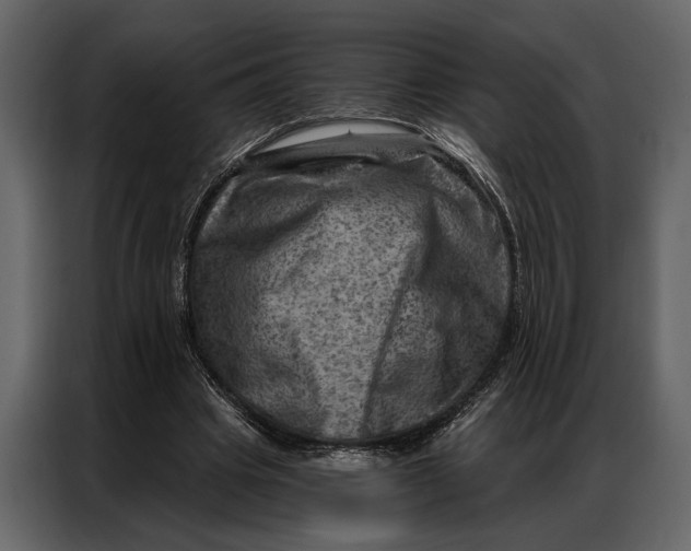 X0000087000441200705071509