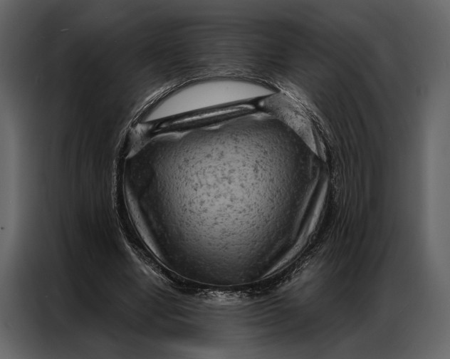 X0000087000442200705071509