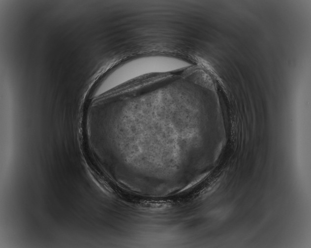 X0000087000443200705071509