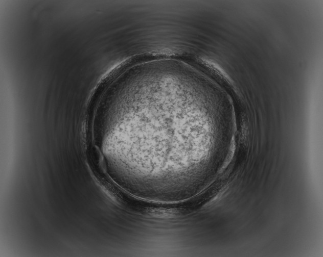 X0000087000444200705071509