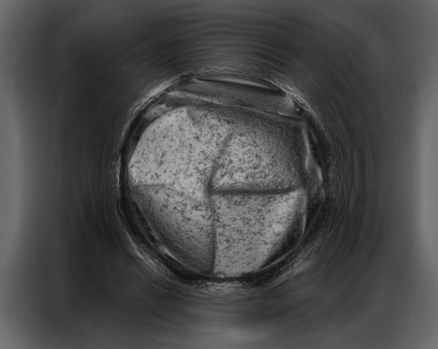 X0000087000446200705071509