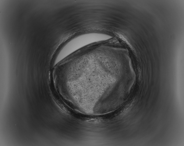 X0000087000447200705071509