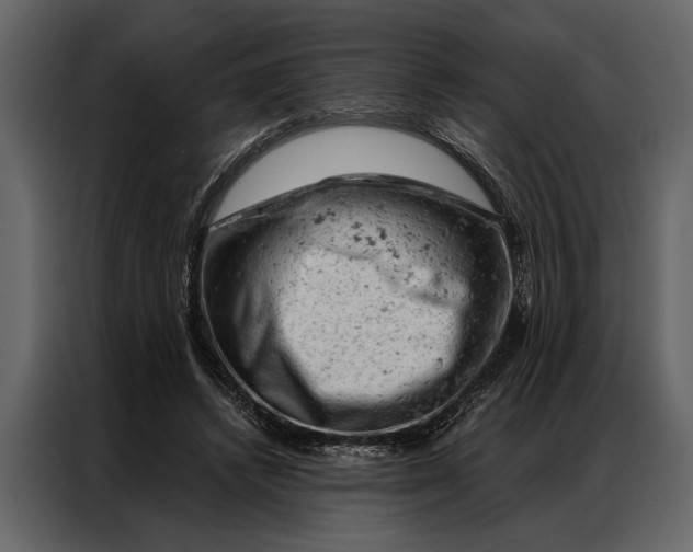 X0000087000448200705071509