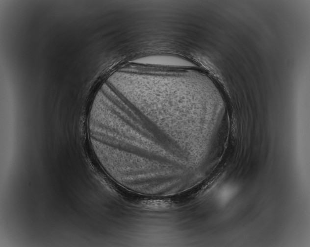 X0000087000449200705071509