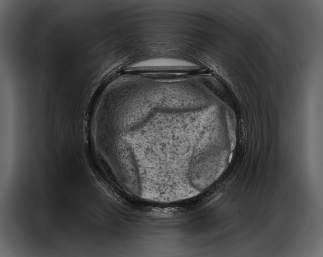 X0000087000450200705071509