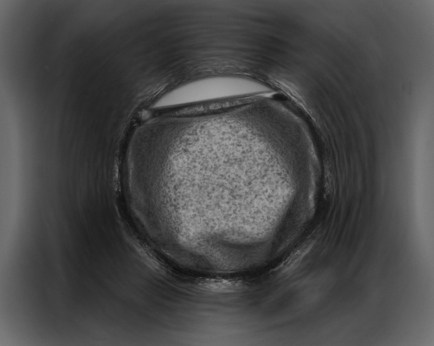 X0000087000453200705071509