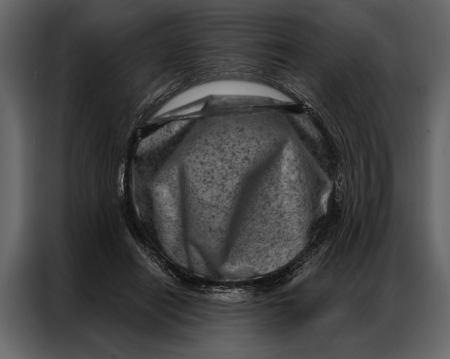 X0000087000454200705071509