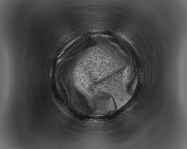 X0000087000455200705071509