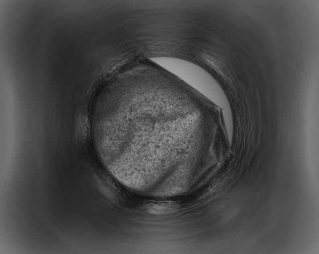 X0000087000459200705071509