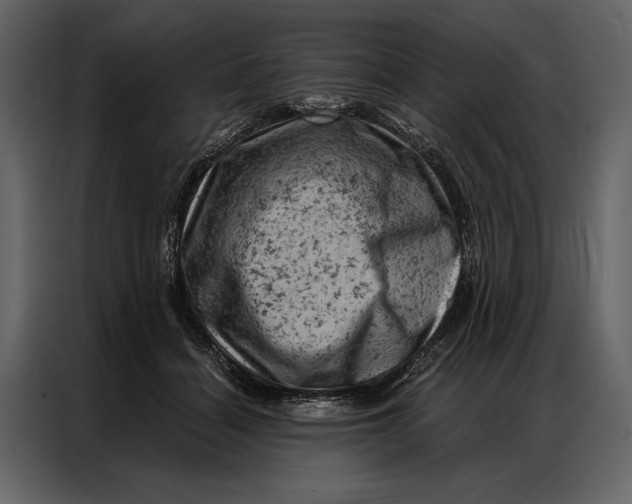 X0000087000460200705071509