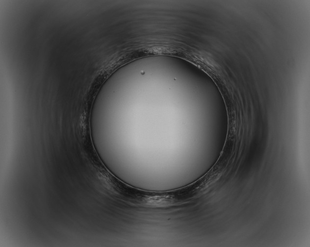 X0000087000461200705071509