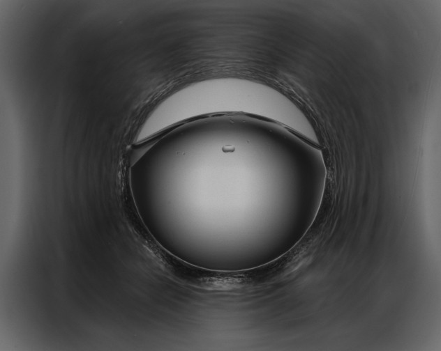 X0000087000462200705071509