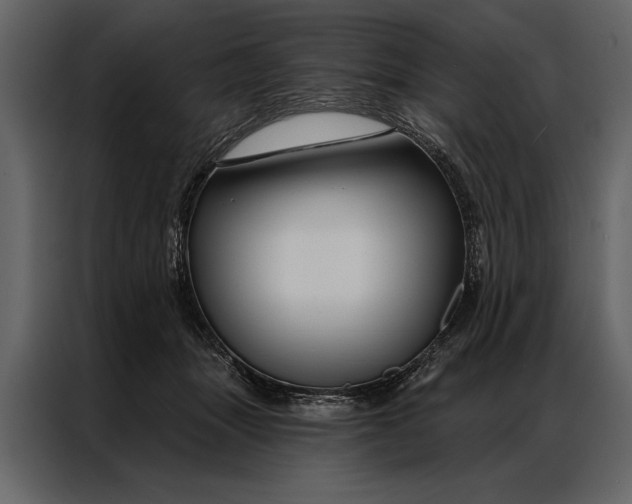 X0000087000463200705071509