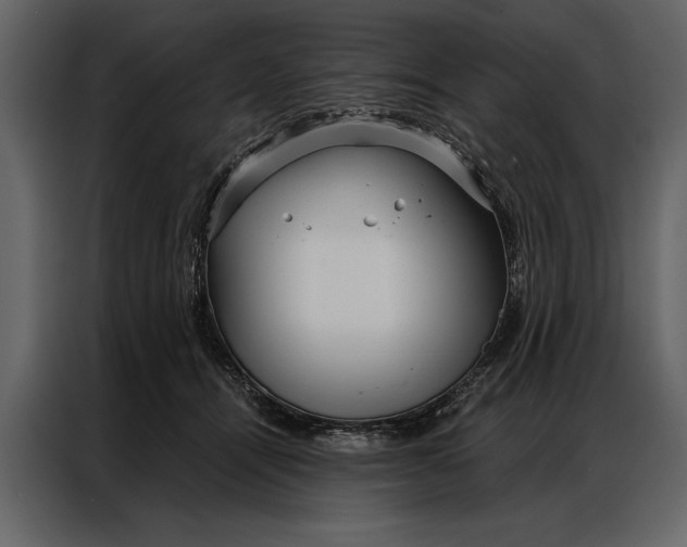 X0000087000464200705071509