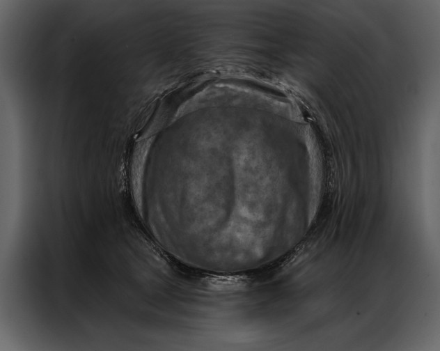 X0000087000465200705071509