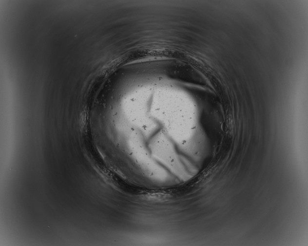 X0000087000468200705071509