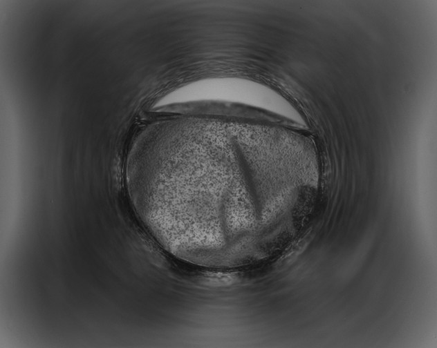 X0000087000469200705071509