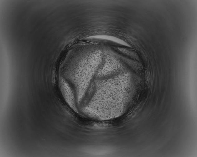 X0000087000470200705071509