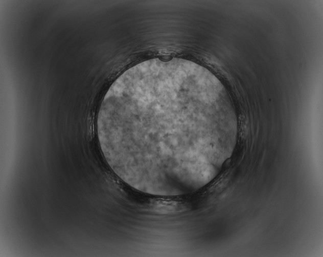 X0000087000471200705071509