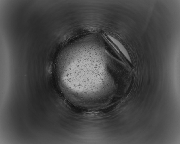 X0000087000472200705071509