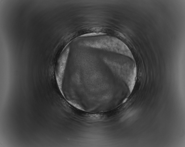 X0000087000473200705071509