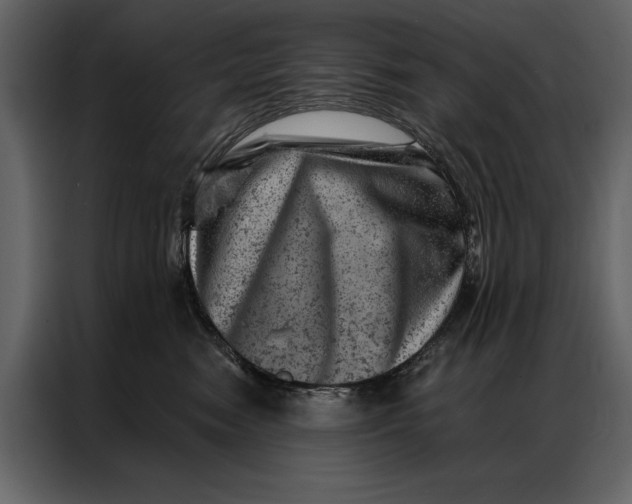 X0000087000474200705071509