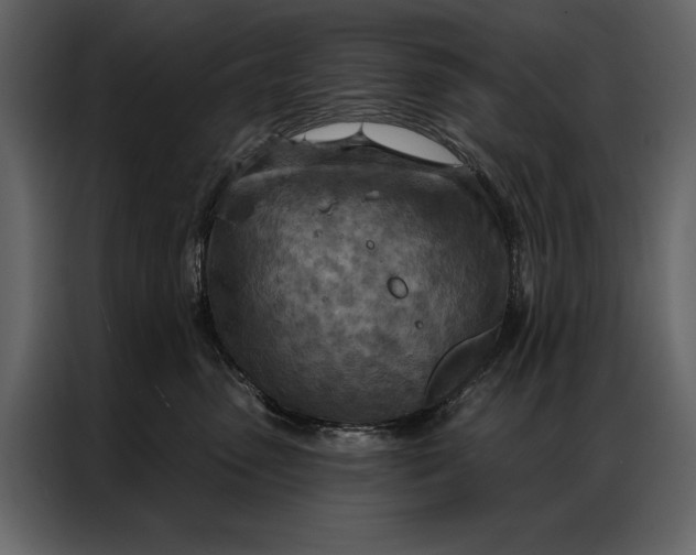 X0000087000475200705071509